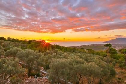 Villa Almon - Resim #16